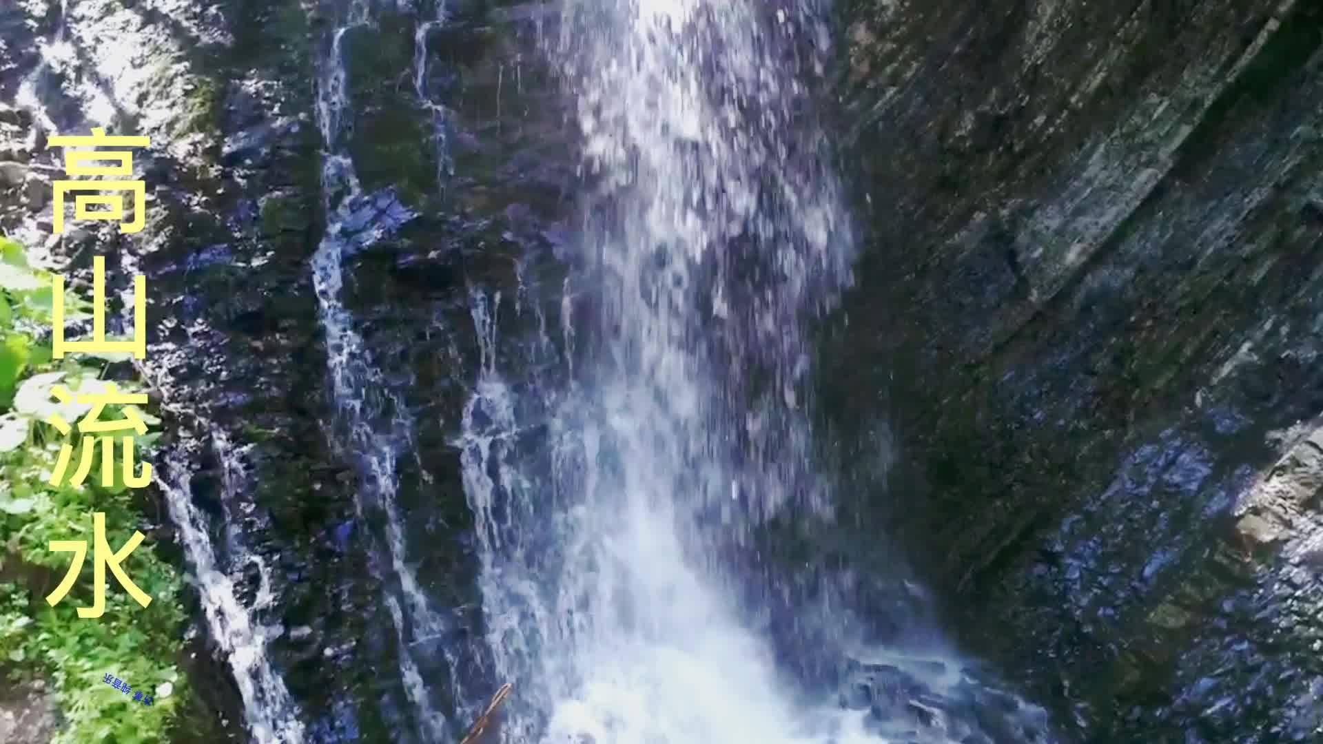执业药师资格证号几位数游戏画面